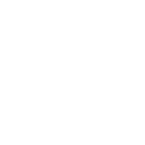 Eco-friendly icon